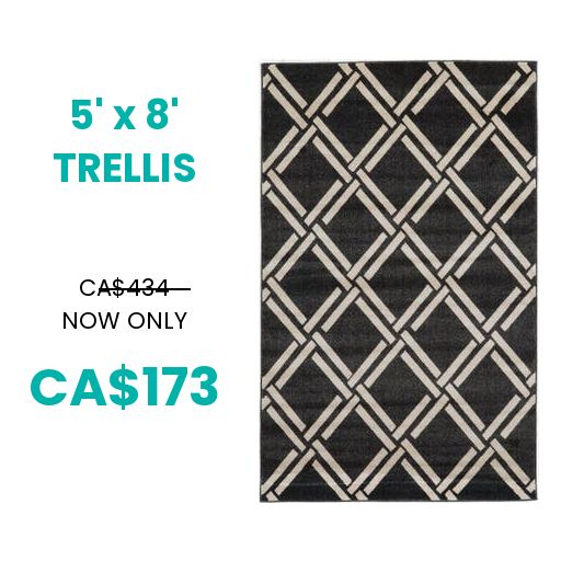 3116081 - 5x8 Black Trellis $153